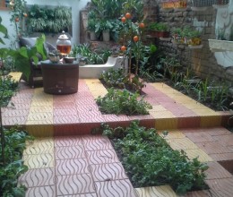JARDIN Y HUERTO DE LOFT DE CAMPO 04