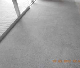 COLEGIO VON HUMBLOT 12