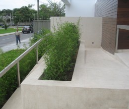 EDIFICIO JACINTO LARA 02