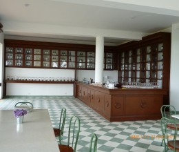 P1000155