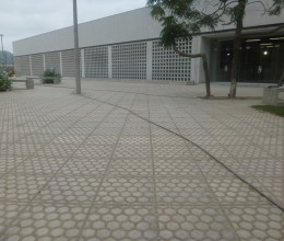 P1000582
