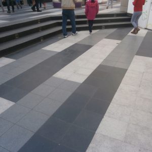 PLAZA VEA SANTA CLARA